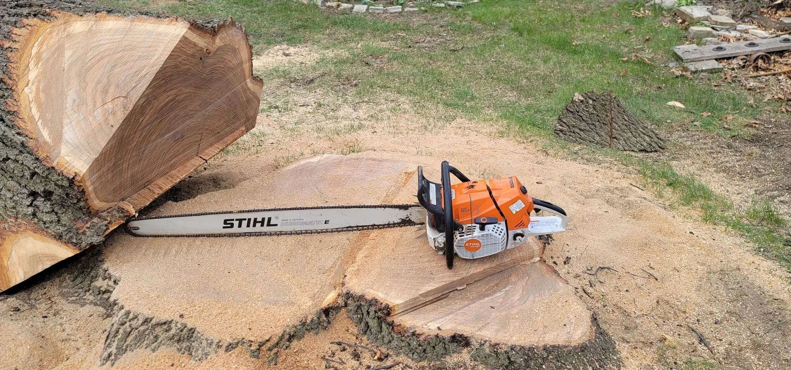 Chainsaw resting on a cut stump beside a large trunk section