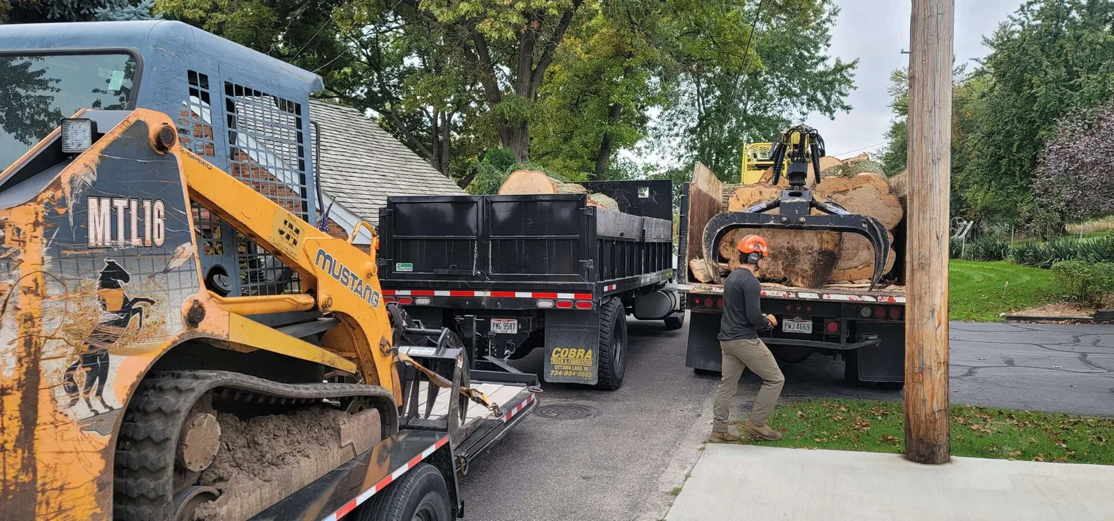 Tracked loader, truck and trailer carrying cut logs