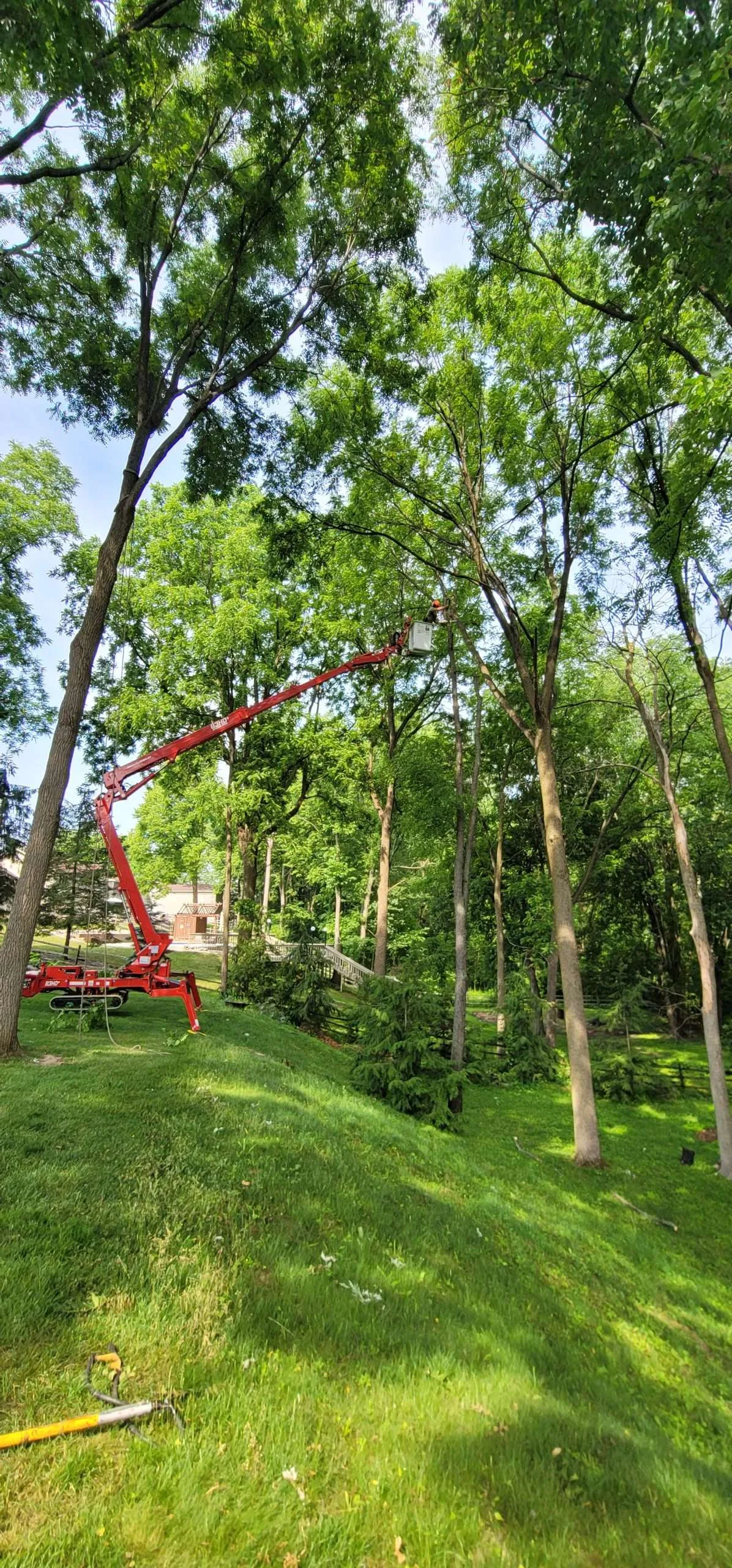 Red aerial lift beside leafy trees on a lawn