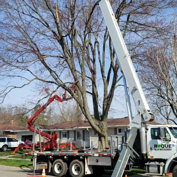Crane truck and red aerial lift beside a tree and house